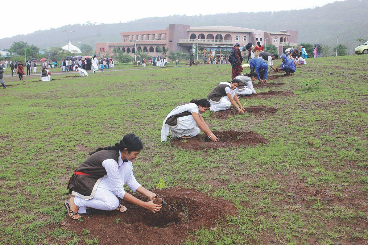 Volunteers at a tree plantation seva